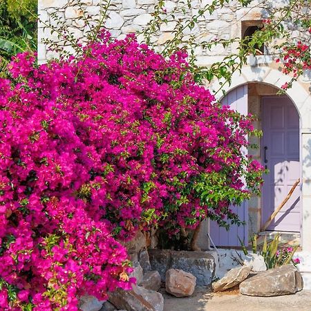 Iliana'S House - Spacious Cave House In The Center Of Areopolis Экстерьер фото
